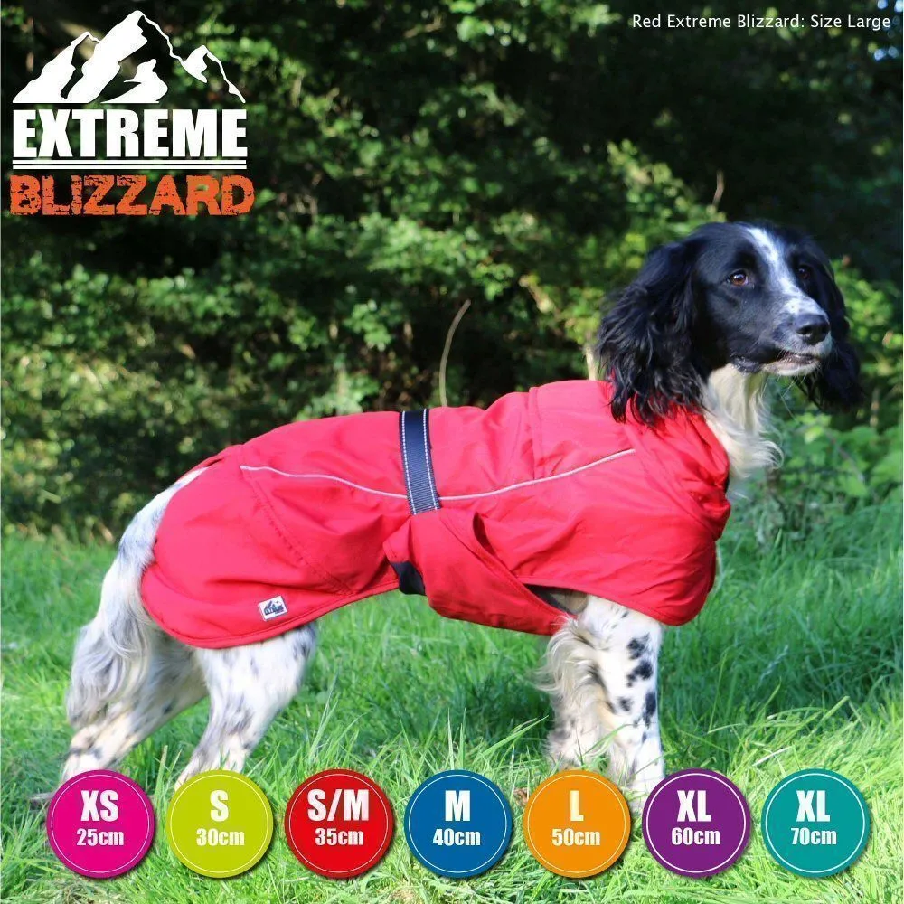 Ancol Extreme 25cm Red Blizzard Dog Coat - X-Small