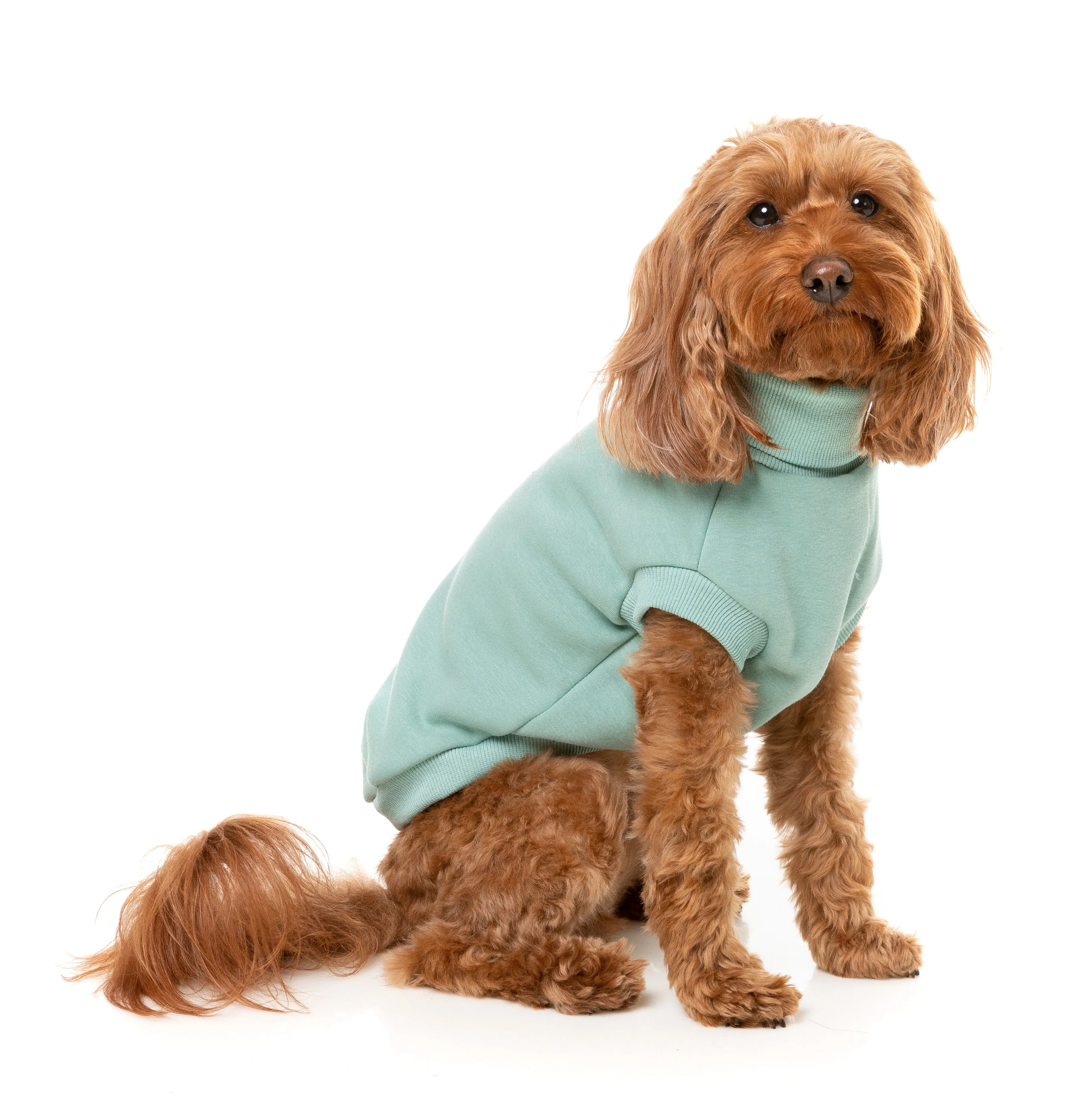 Fuzzyard Stevie Dog Sweater Mint