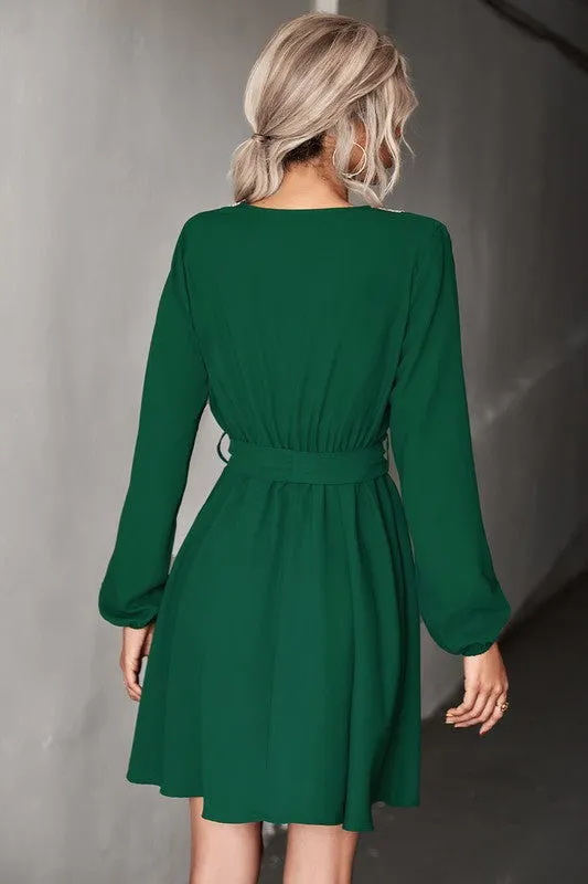 Long Sleeve V-Neck Dress *Online Only*